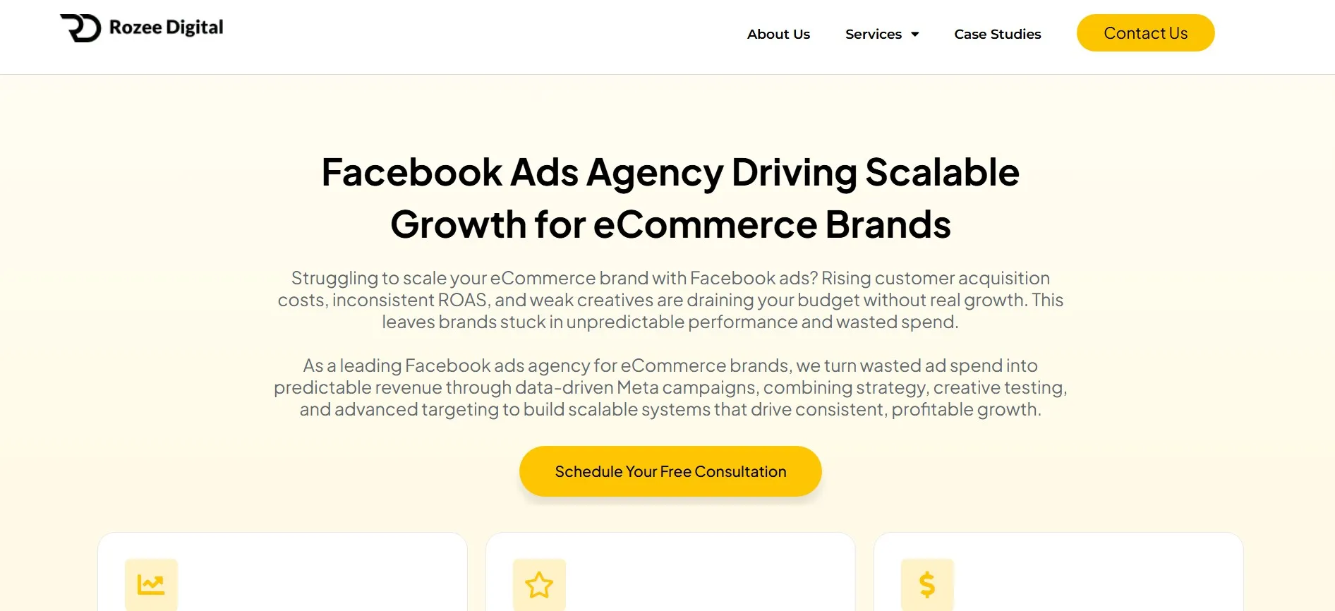 Rozee Digital runs Facebook ads for eCommerce brands focused on scalable growth.