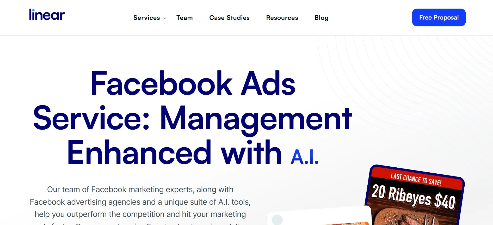 Linear manages AI-supported Facebook Ads for paid social growth.